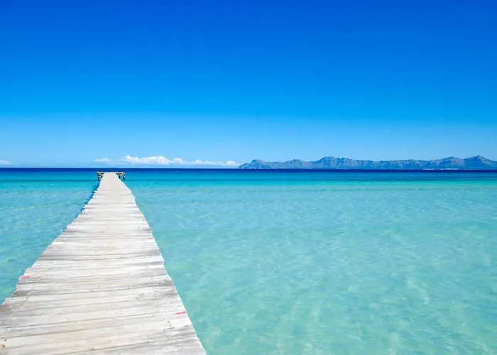 Yourhouse Xavier * Can Picafort