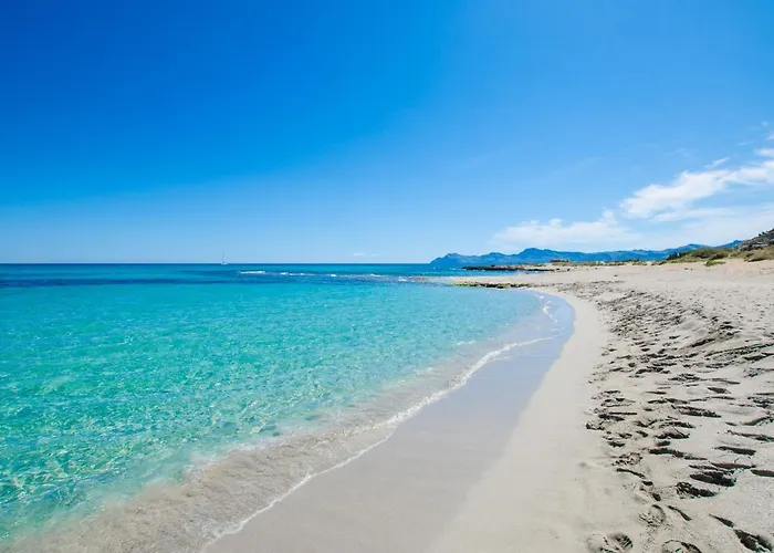 Yourhouse Xavier Can Picafort (Mallorca)